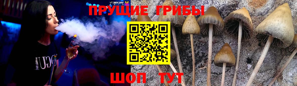 Галлюциногенные грибы Cubensis  Галлюциногенные грибы Psilocybine cubensis  наркота  Астрахань  Вход с VPN 