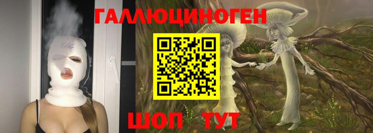 Галлюциногенные грибы мухоморы Астрахань